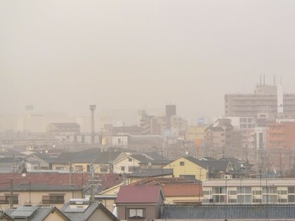春の咳の原因は黄砂などによる「花粉爆発」のようです