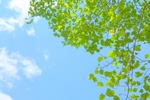 7月10日（火）はお休みとなります